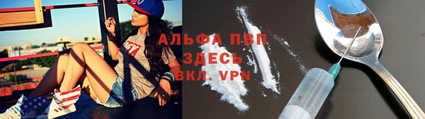 гидра Гусев