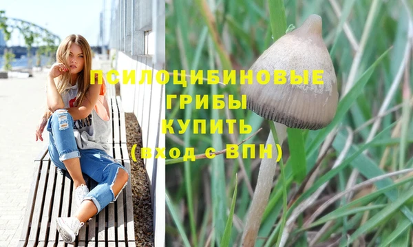 прущий лед Михайловск