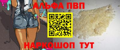 стаф Гатчина