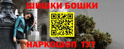 стаф Гатчина