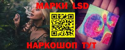 стаф Гатчина