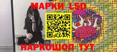 стаф Гатчина