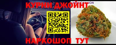 стаф Гатчина