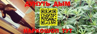 стаф Гатчина