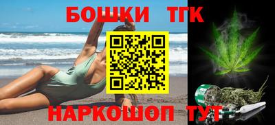 стаф Гатчина