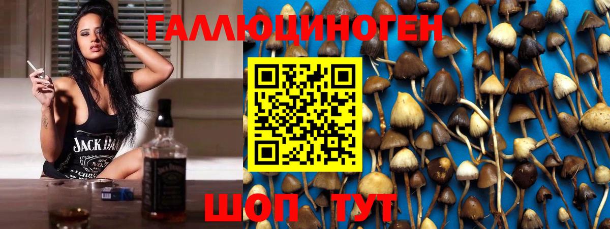 Псилоцибиновые грибы MAGIC MUSHROOMS  Корсаков 