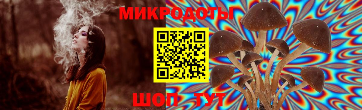 Псилоцибиновые грибы Magic Shrooms Корсаков
